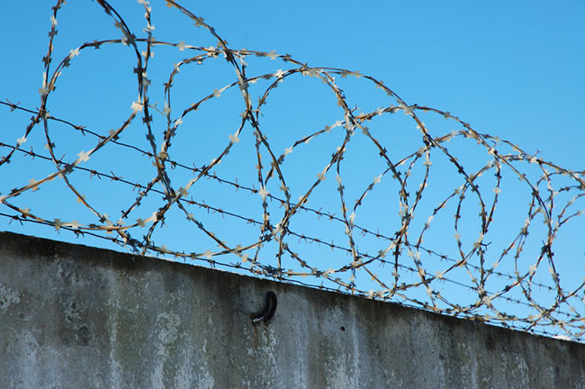 wire-pic668-668x444-45530