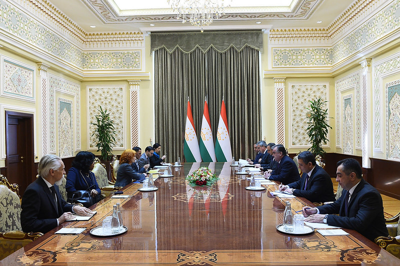 49560349882_0f9836bbfe_c