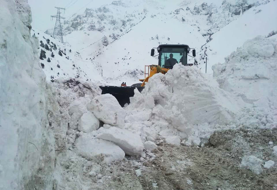 85008169_3523167394425300_8206113864635383808_n