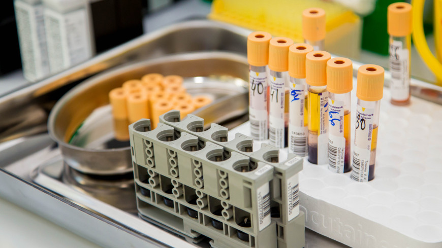 870x489_0x101_detail_crop_b8aa495110faa6de40e0509afca43c33782534d8d57f919d033c7998aa4532fa