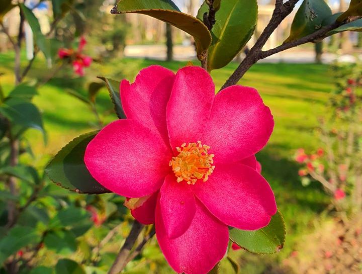 89035745_3109687082589625_6254258271796854784_o