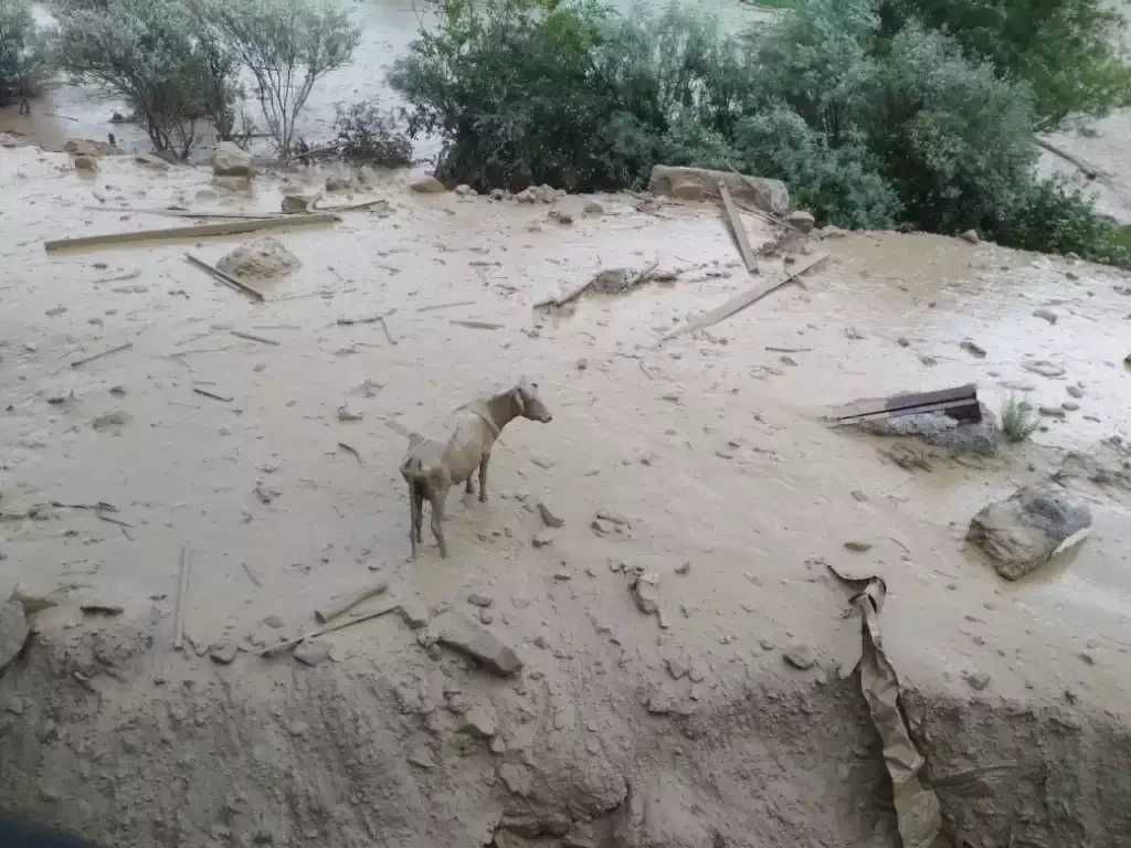 1_BuwgbZnWYwnLiY1tmHrbXg