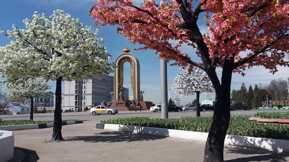 29258656_1582377721891091_8462474325025357824_n