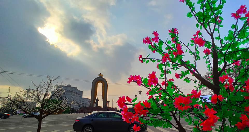 87433519_2745478248914360_7780964299068932096_n