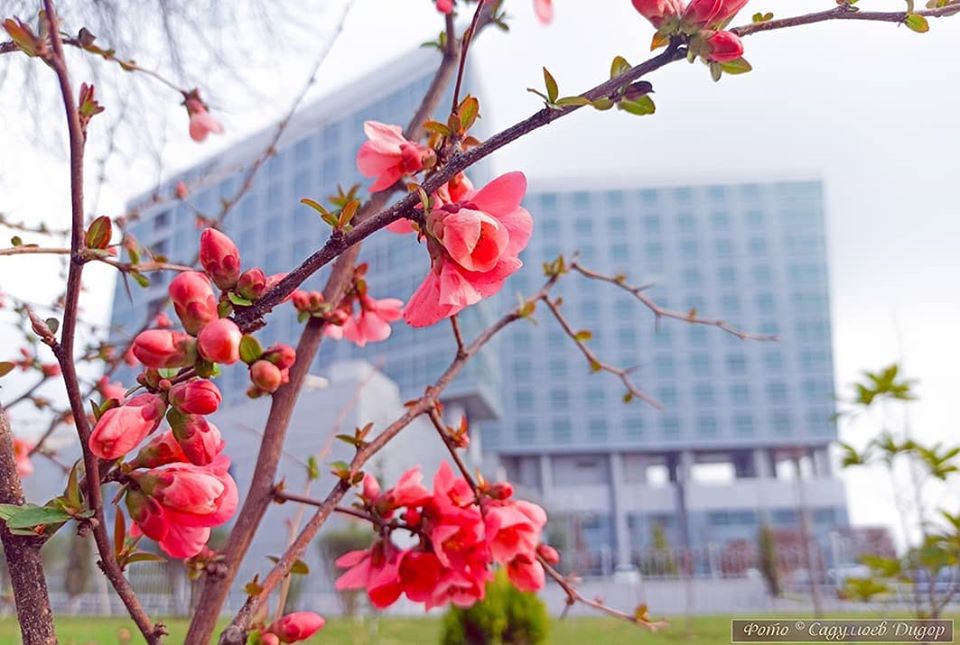 87520795_2747329408729244_9206067218482200576_o