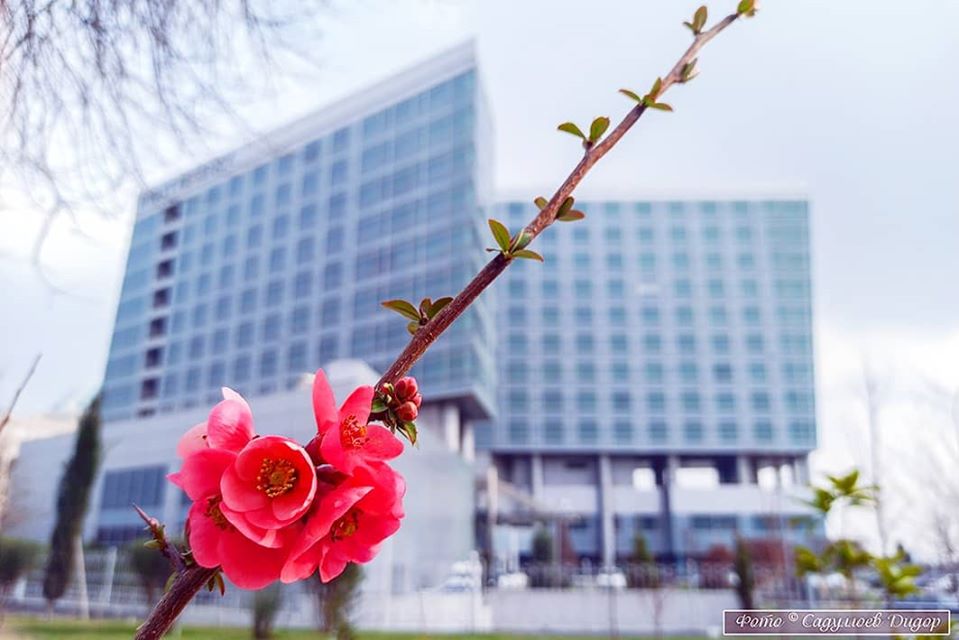 89556893_2747329372062581_5333482841915260928_o