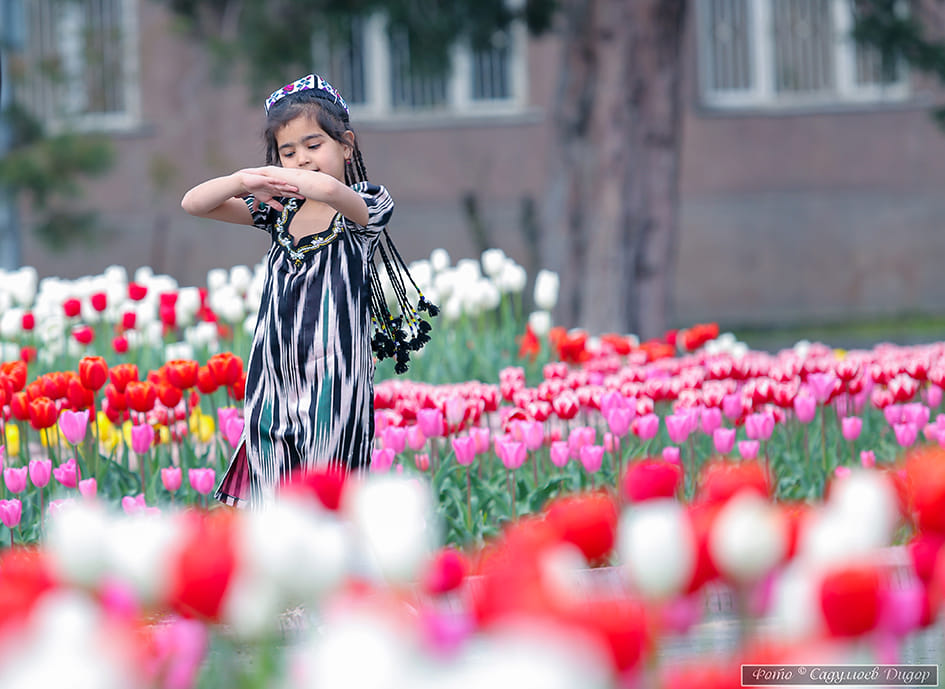 89651126_2749728978489287_1855000902037929984_n