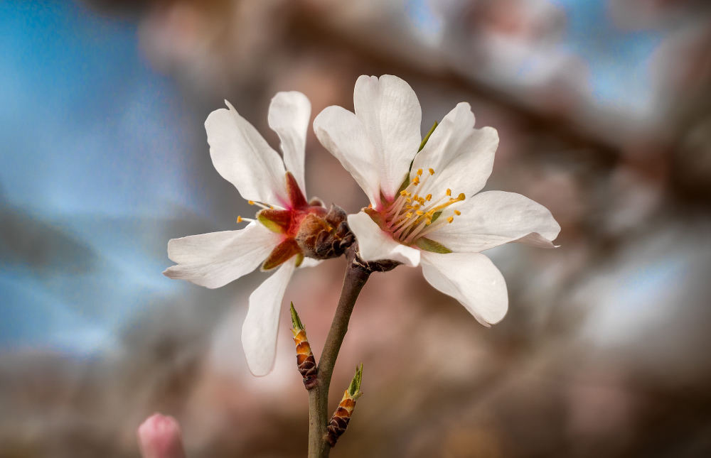 a0356a93-da95-4919-b768-e52c482c45be