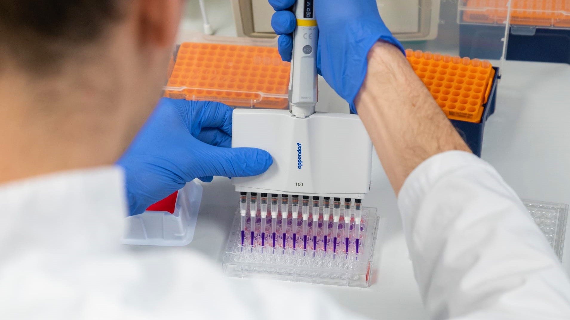 d3c9ae3741b0fb02831276e3fe2f7d61