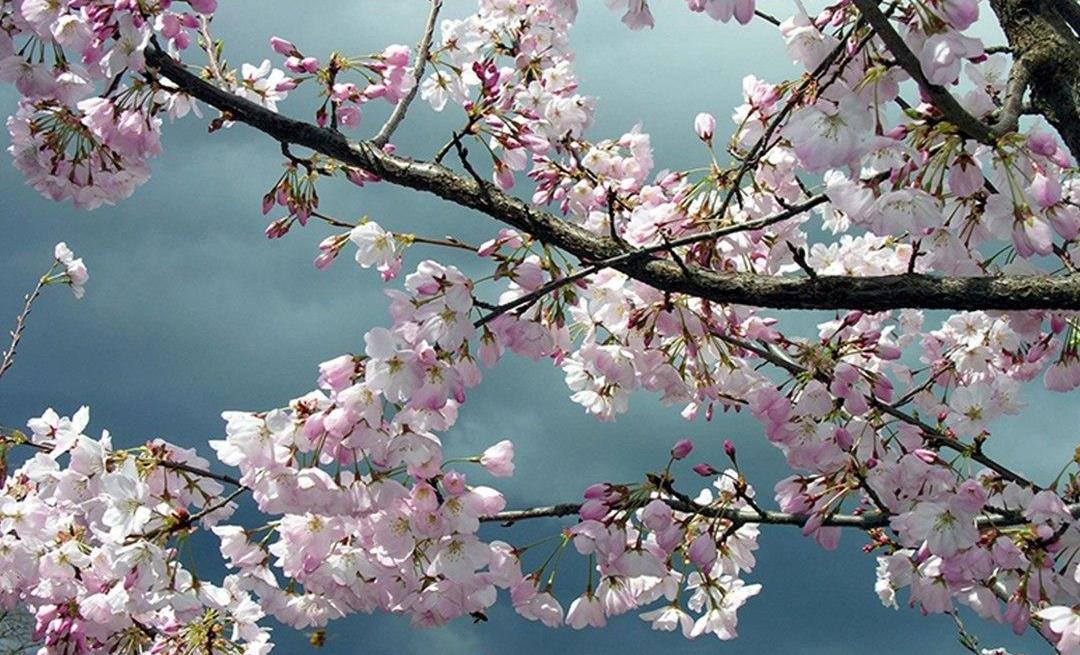 photo_2020-03-30_15-35-11