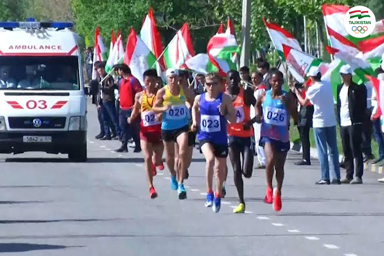 48f82053a4731288f3b9048807dec315