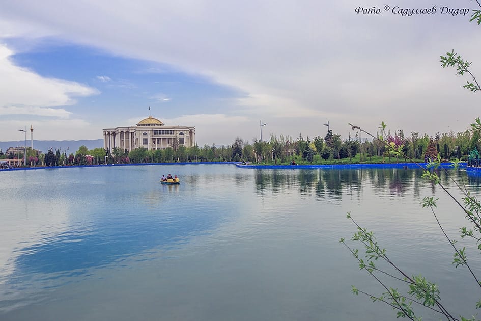 56622529_2106776999451158_1756286907009990656_n