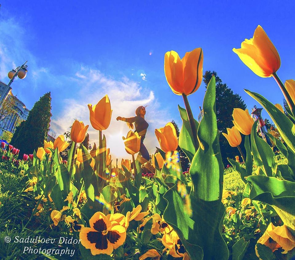 91279917_2799836533478531_2848863081725952000_o