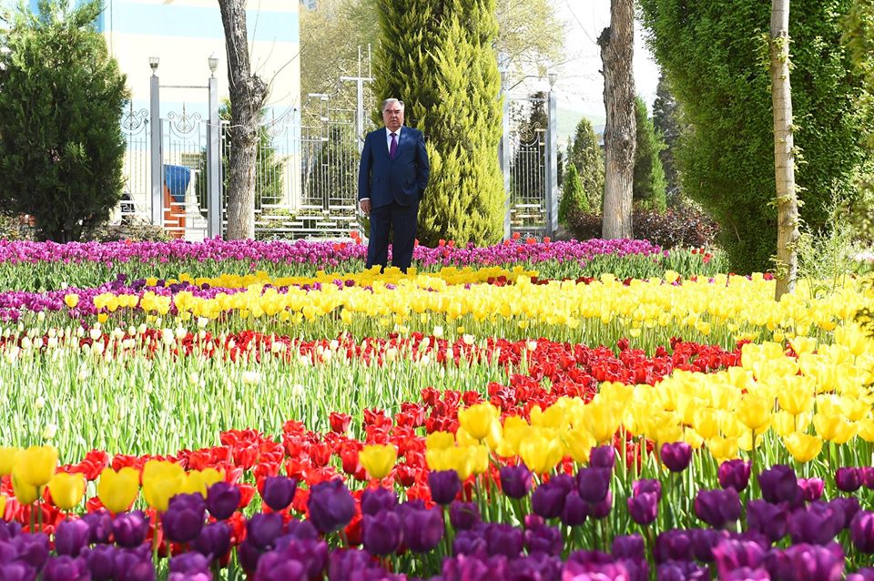 92129155_3670490133021146_2175305226372775936_o