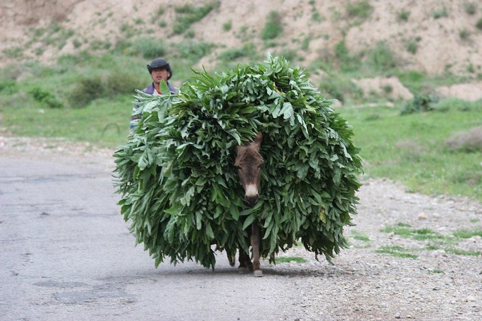 92229980_2913818545349916_843272491622203392_o