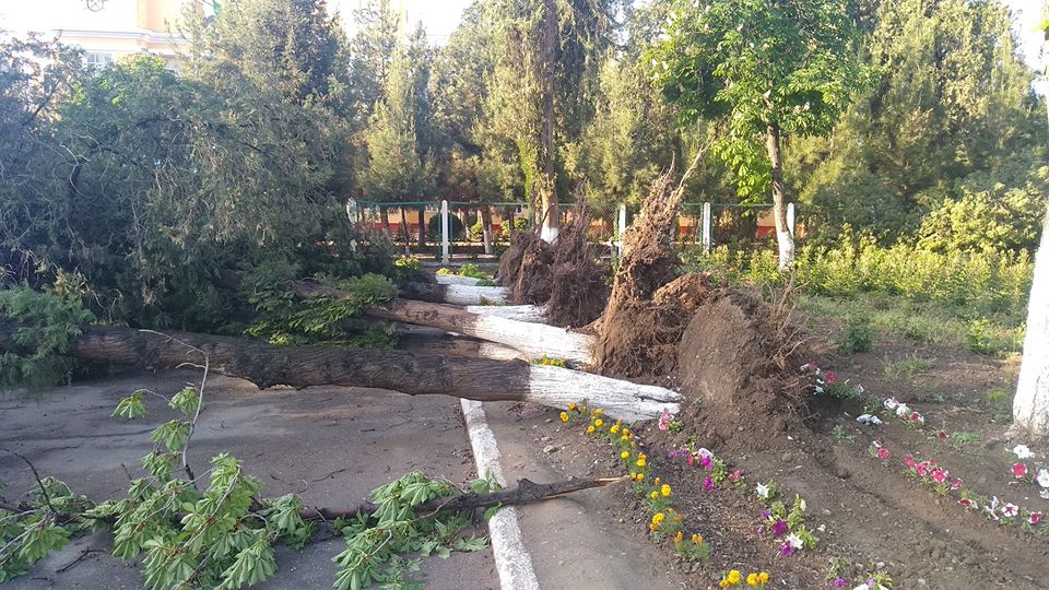 94994569_2335534353415051_9199617478978699264_n