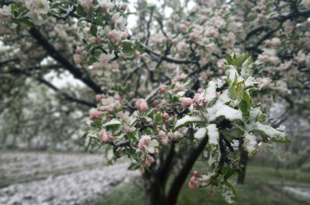 photo_2020-04-08_20-53-04