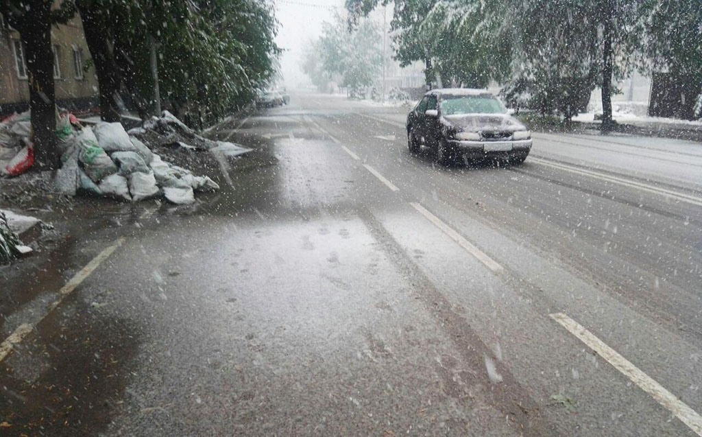 photo_2020-04-09_11-39-26