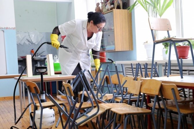 sanitarnaya-obrabotka-shkol-ot-vshej-i-gnid