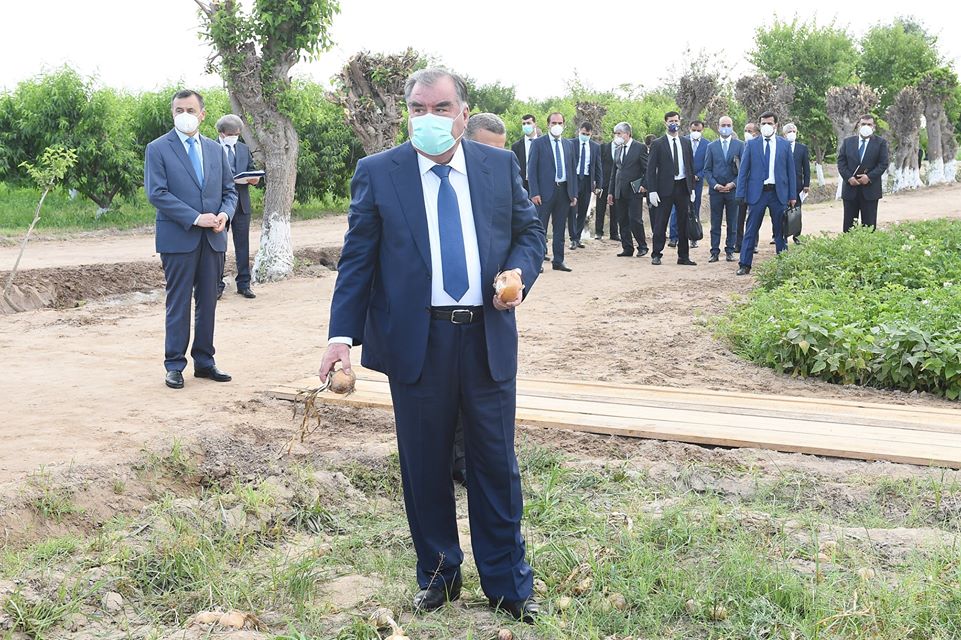 101061963_3872988452771312_5133358690434285568_o