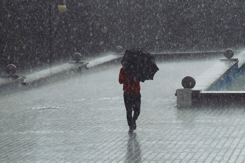 1500385022137240771-1