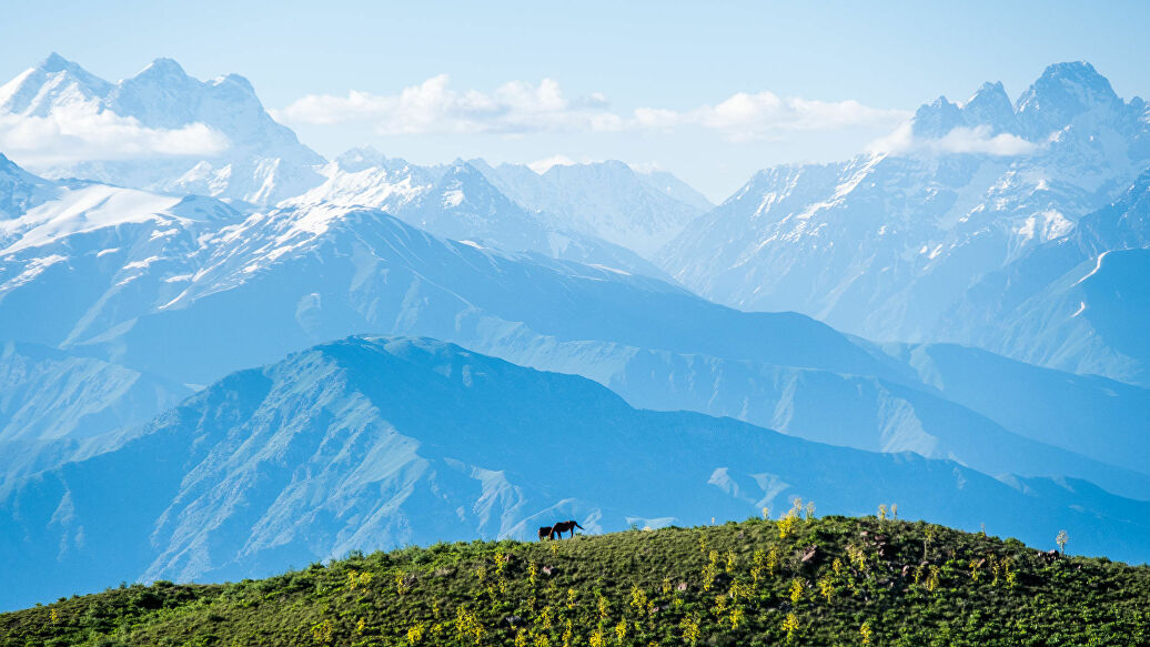 1549954704_0_0_2048_1152_1036x0_80_0_0_5c440510408f00a7307bf07a6c3aaae8