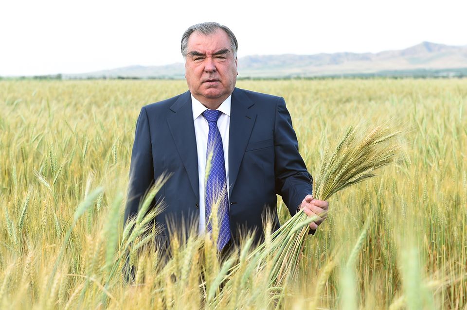 83538762_3882077825195708_3381767883485872128_o