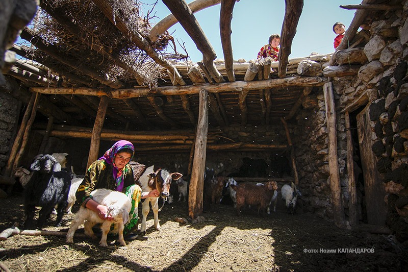 99293312_2612002072383183_8890799378957074432_n