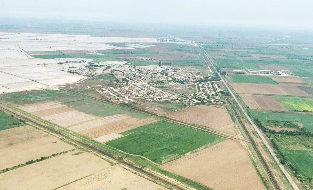 photo_2020-05-01_12-06-02