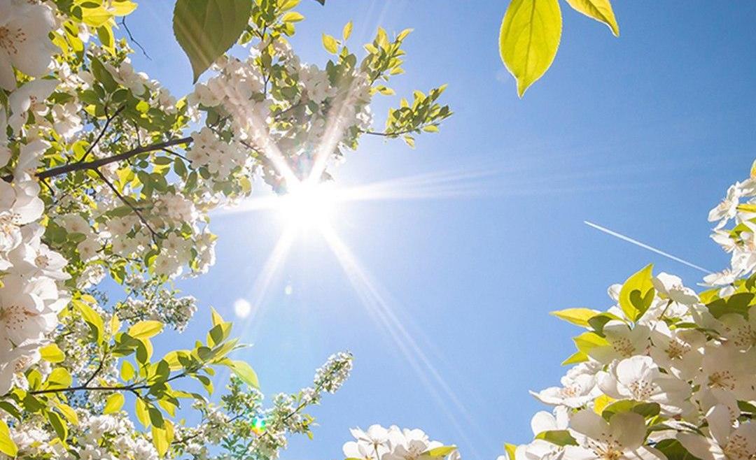 photo_2020-05-02_13-55-19