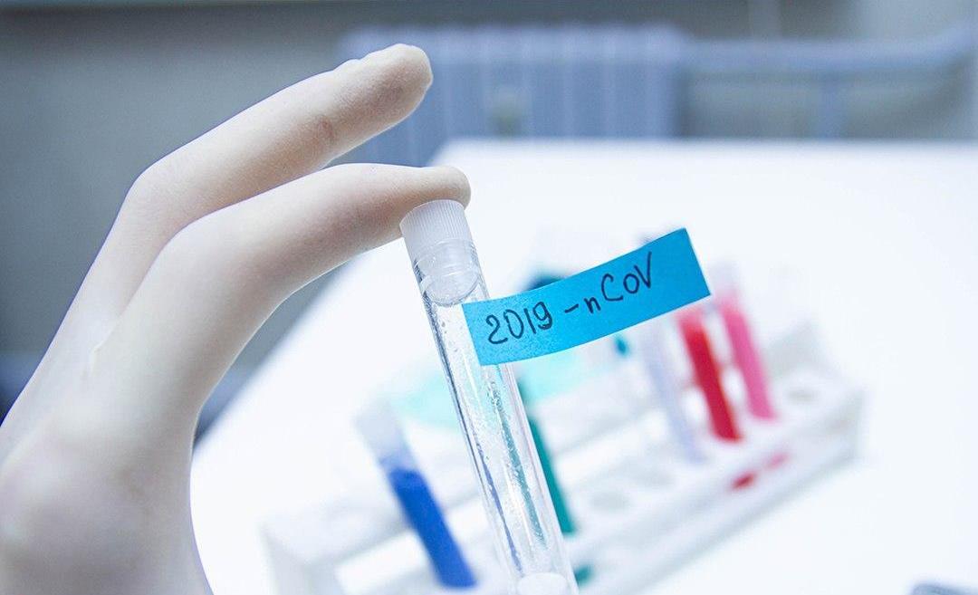 photo_2020-05-02_13-55-25