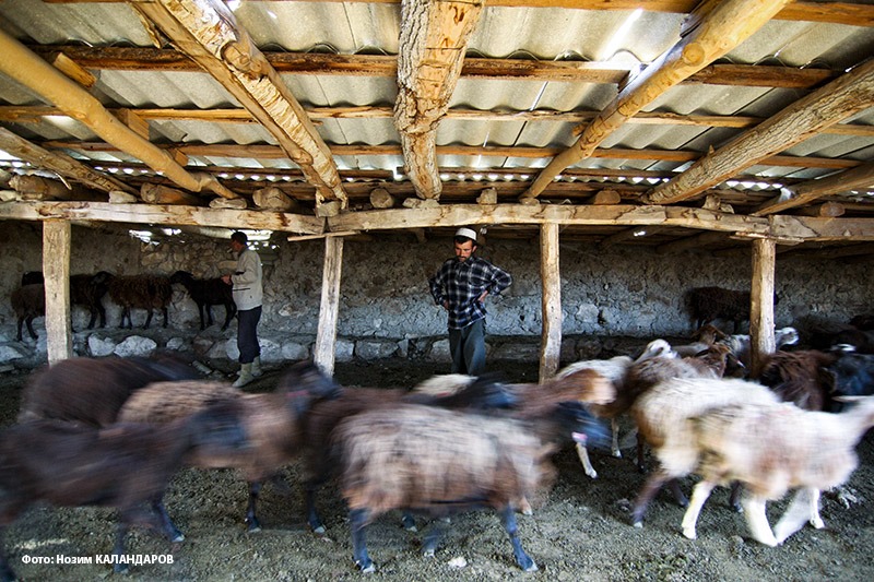 101310893_2619794538270603_3963269729098924032_n