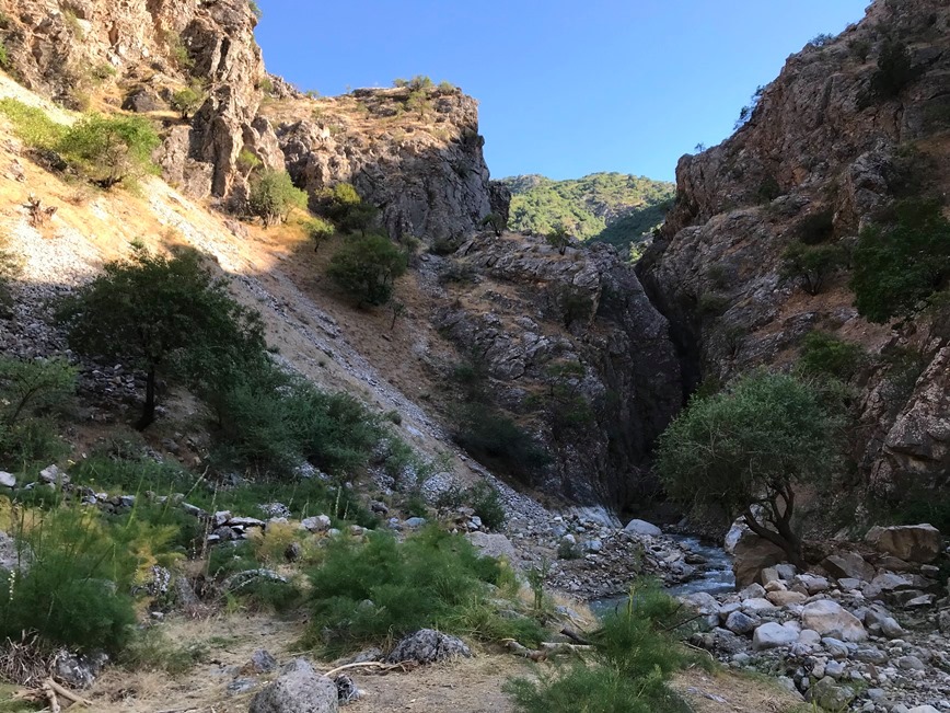 104449189_2841223549320064_1939277683695202683_n