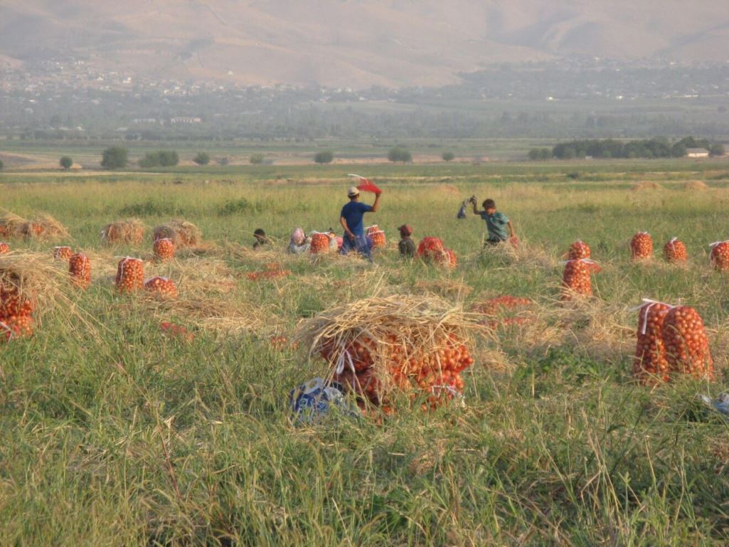 IMG_5117-1920x1440-1-1320x990