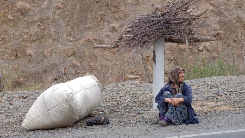 tj-rural-woman-780x439