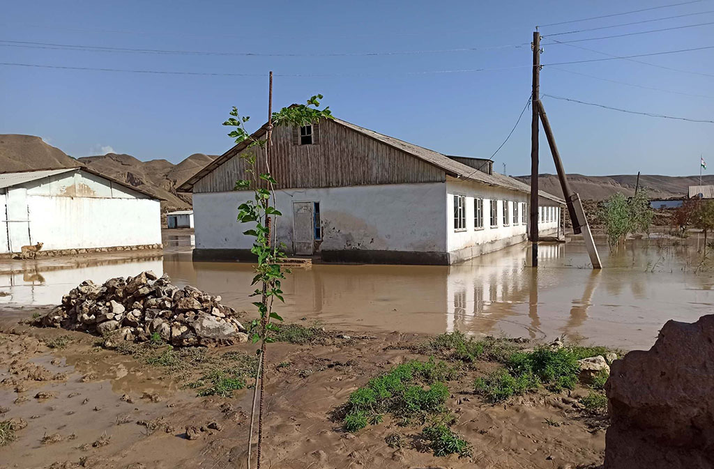 115805230_981277075647410_7168351642531739621_n