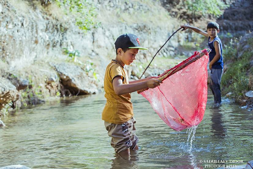 20246470_1350752391720293_3992143975402055324_n