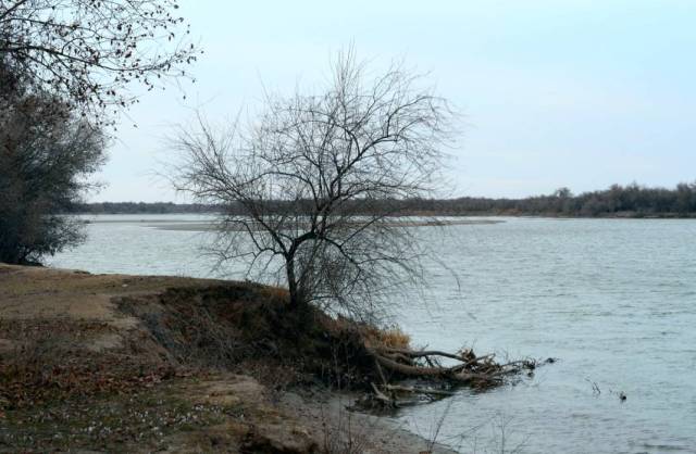 27688-6-uroven_vody_v_syrdare__ru-1