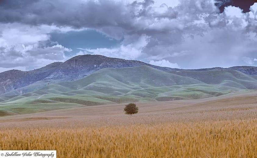 108943771_3051133401682175_4357893177963949446_n