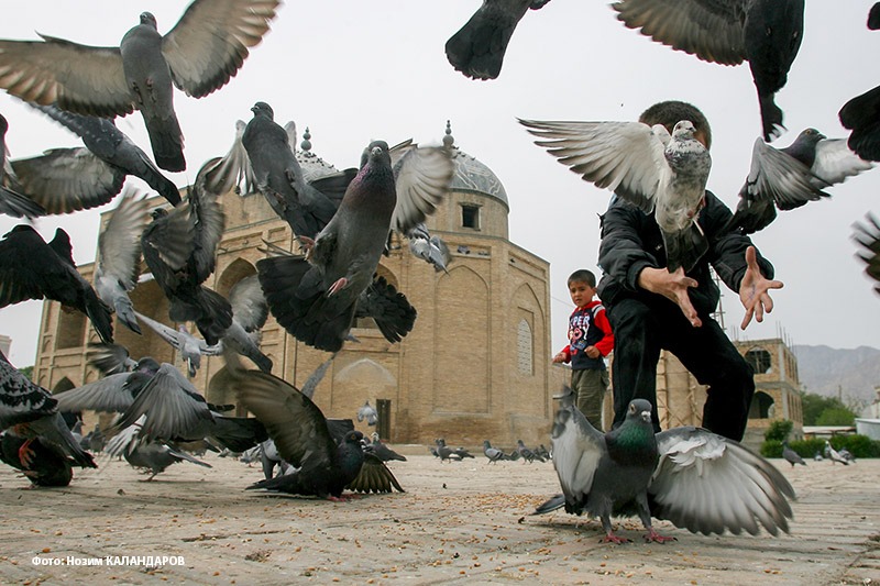 93475725_2583215461928511_2223102444236177408_n