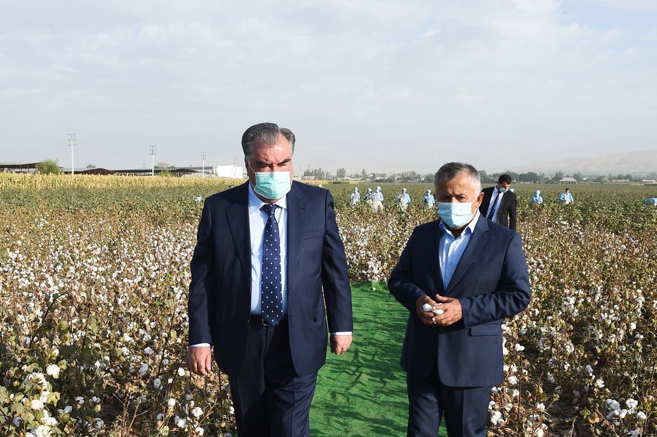 119886441_4398277020242450_7277782578029517495_o