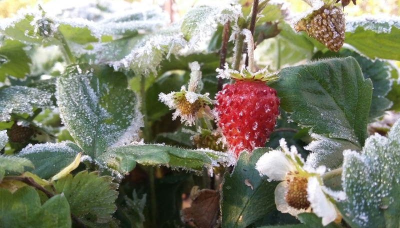 img-20200904134249-494