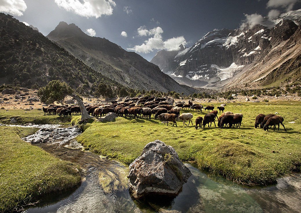 paA7miA2OEPVQ5PkSRtM9A-wide