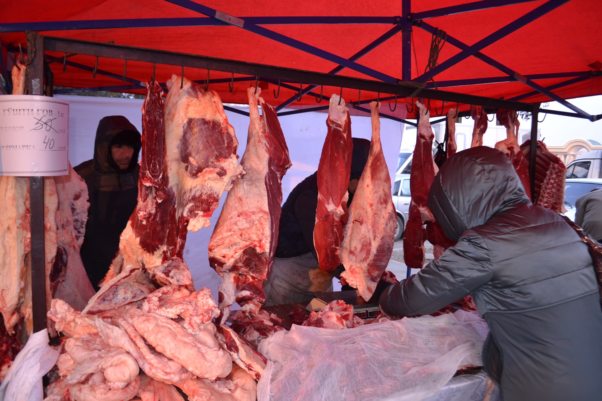 126793035_2501887796779705_692594480534885028_o