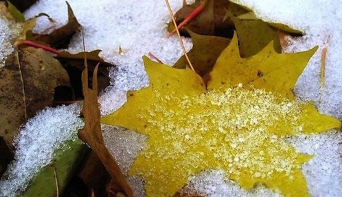 2411cdf9e9b321245ba8eae4eae7270f