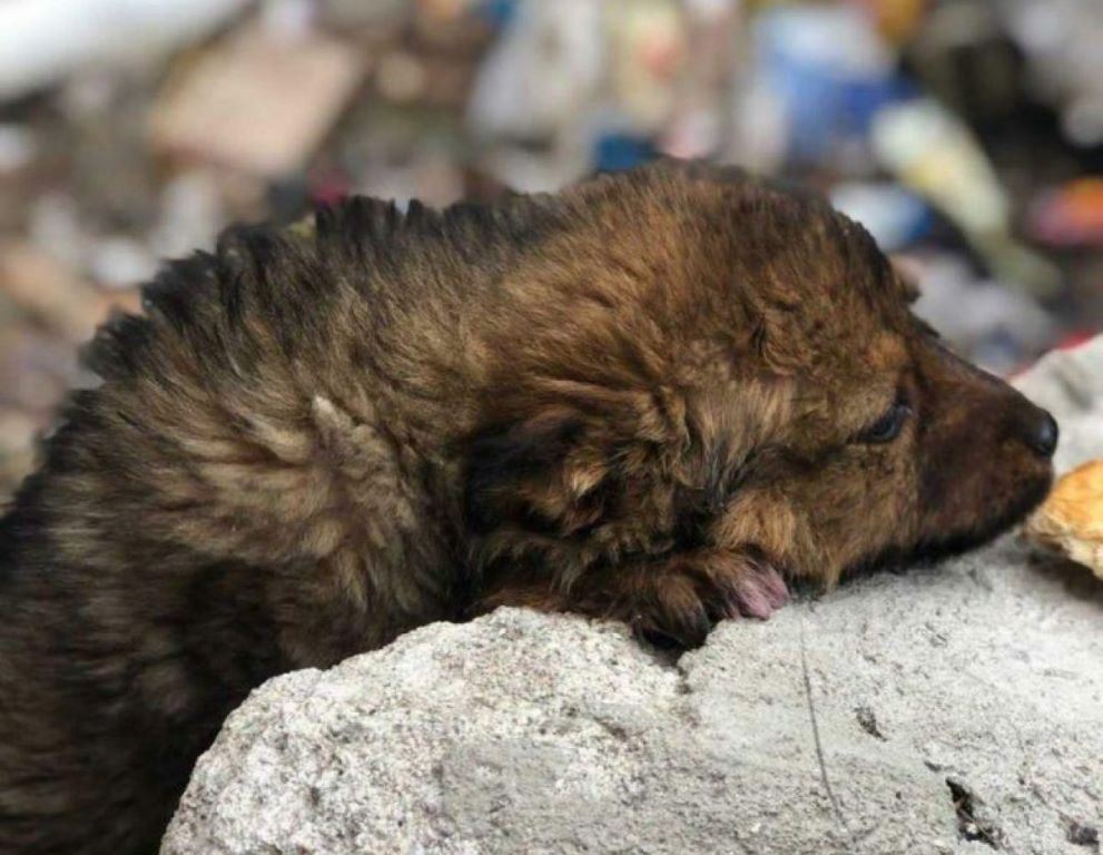 photo_2020-10-15_15-35-20-1200x1600