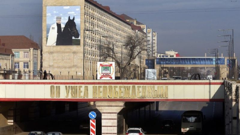 _116303205_4065f948-f2a1-4ffe-85ae-04b724d67305