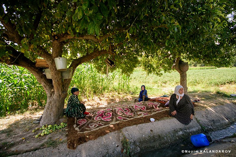 131914430_2790302134553175_3435150328722406384_n