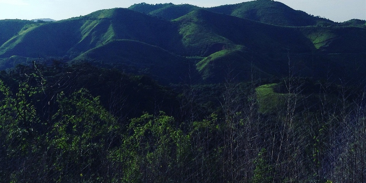 faa2218474d3fab3e34dd6754e1ed79f