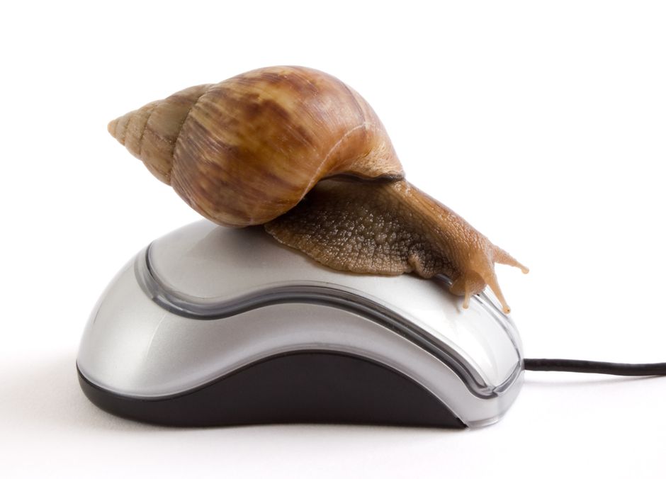 getty-slow-internet-snail